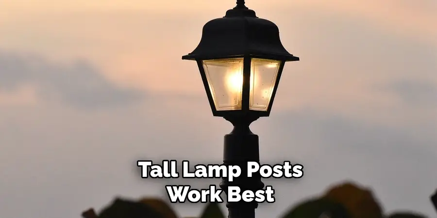 Tall Lamp Posts
Work Best