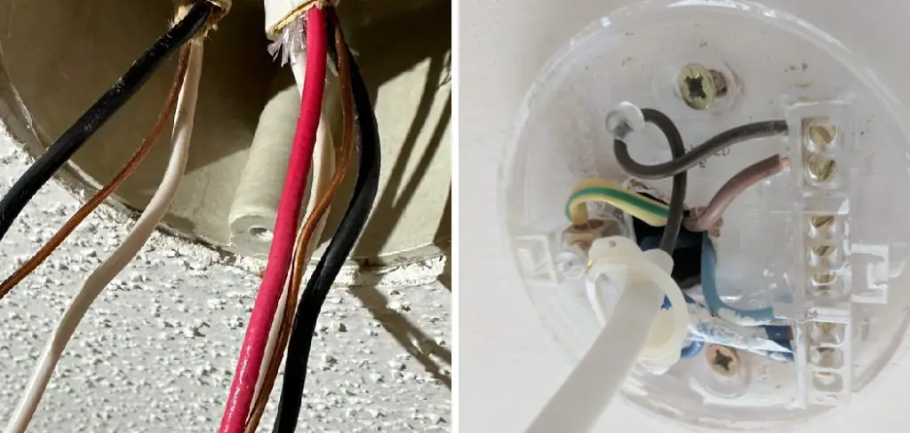How to Wire a Light Fitting with 3 Cables