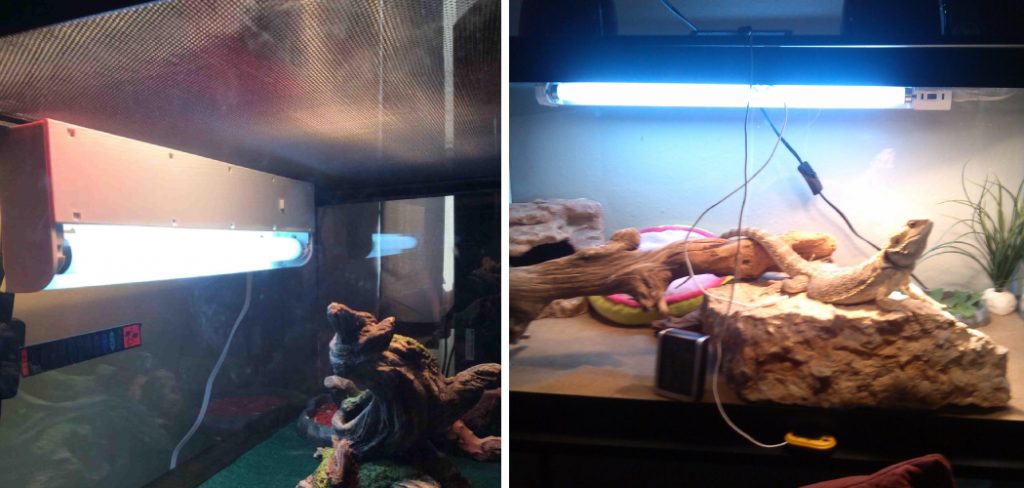 How to Hang Uvb Light in Tank
