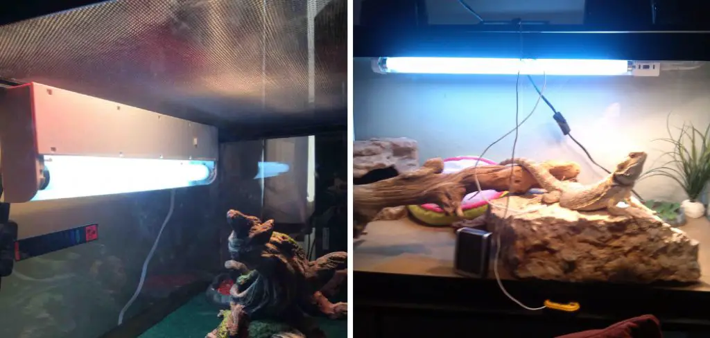 How to Hang Uvb Light in Tank