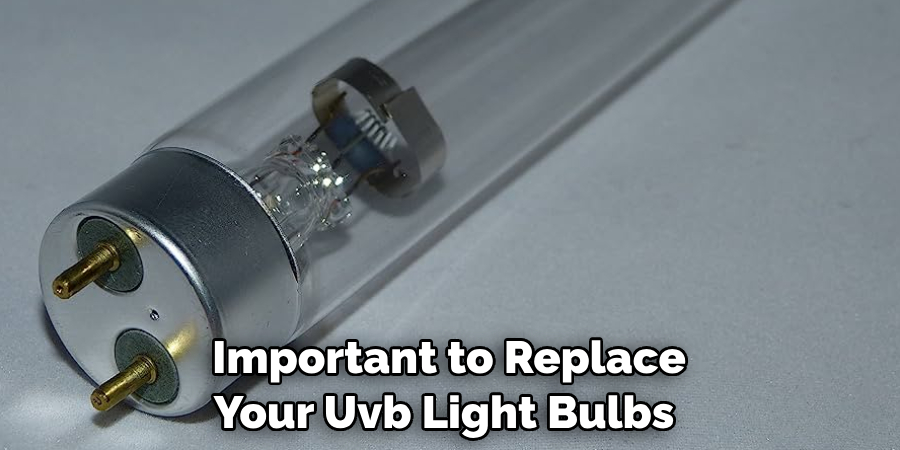 Important to Replace Your Uvb Light Bulbs 