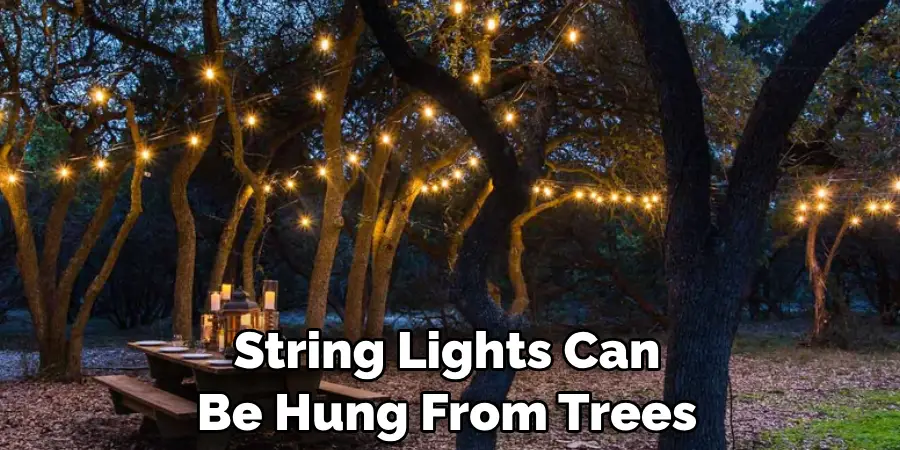 String Lights Can Be Hung From Trees