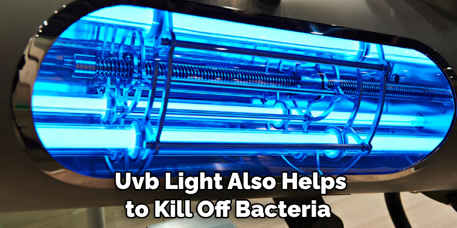  Uvb Light Also Helps to Kill Off Bacteria