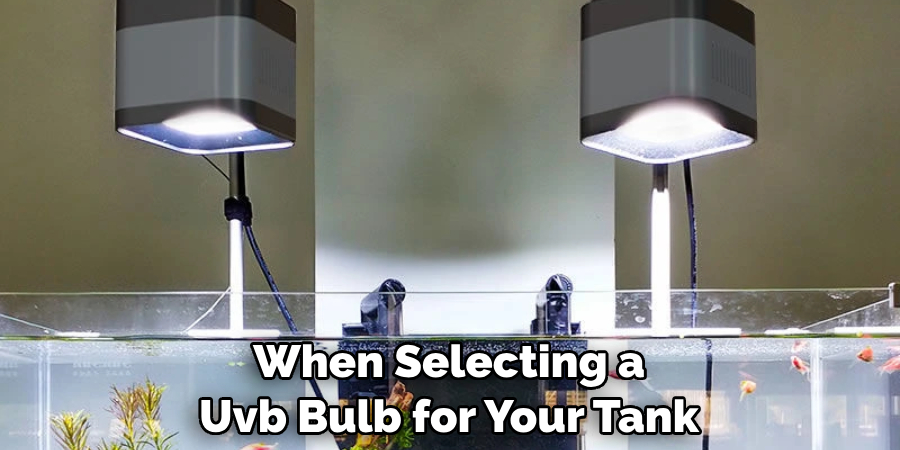 When Selecting a Uvb Bulb for Your Tank