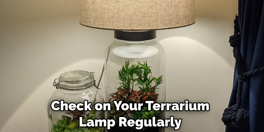 Check on Your Terrarium Lamp Regularly