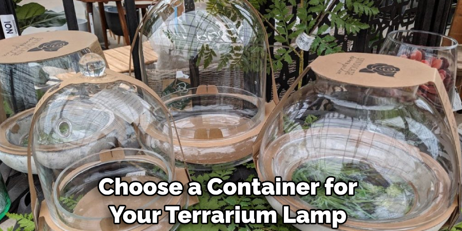 Choose a Container for Your Terrarium Lamp