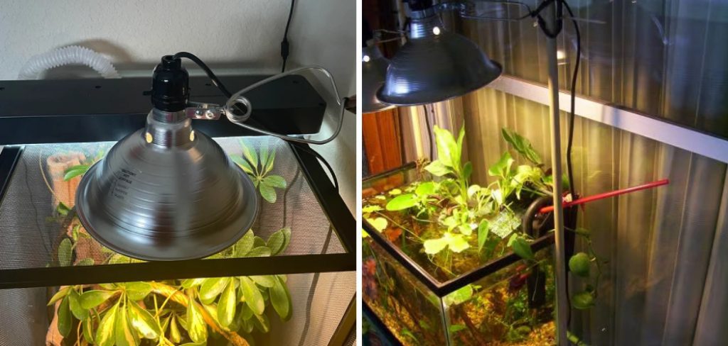How to Attach Clamp Lamp to Tank