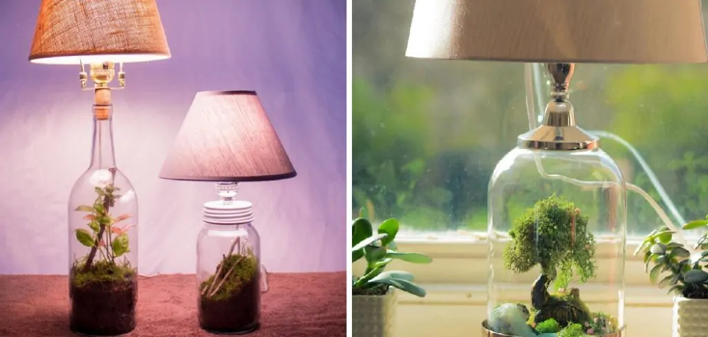 How to Make a Terrarium Lamp