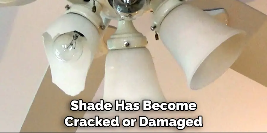 Shade Has Become Cracked or Damaged