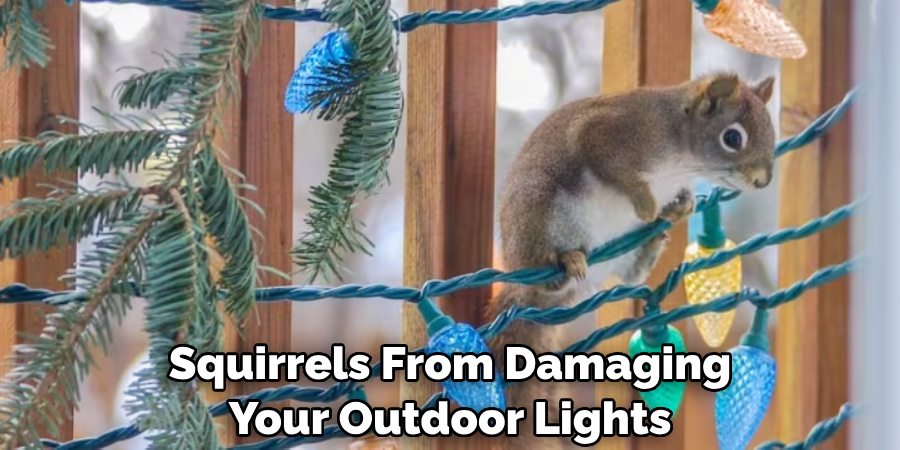 Squirrels From Damaging Your Outdoor Lights
