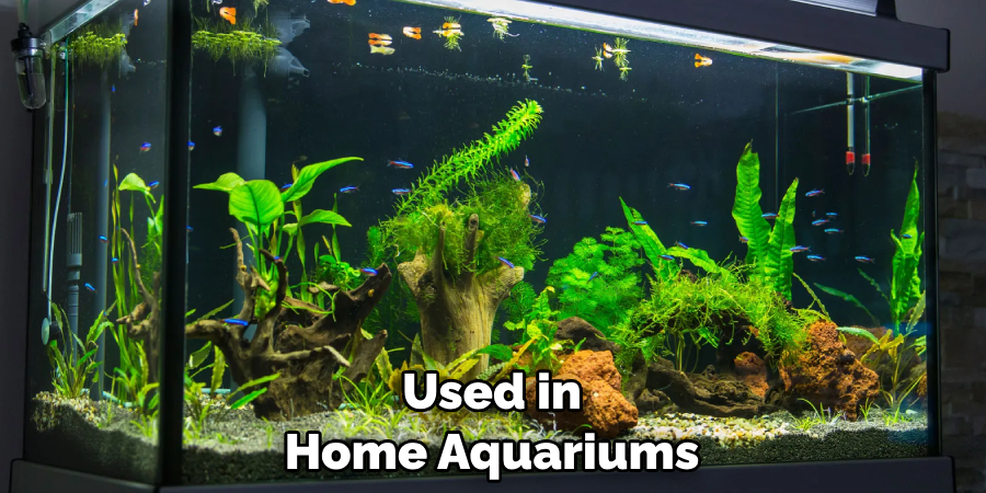 Used in Home Aquariums