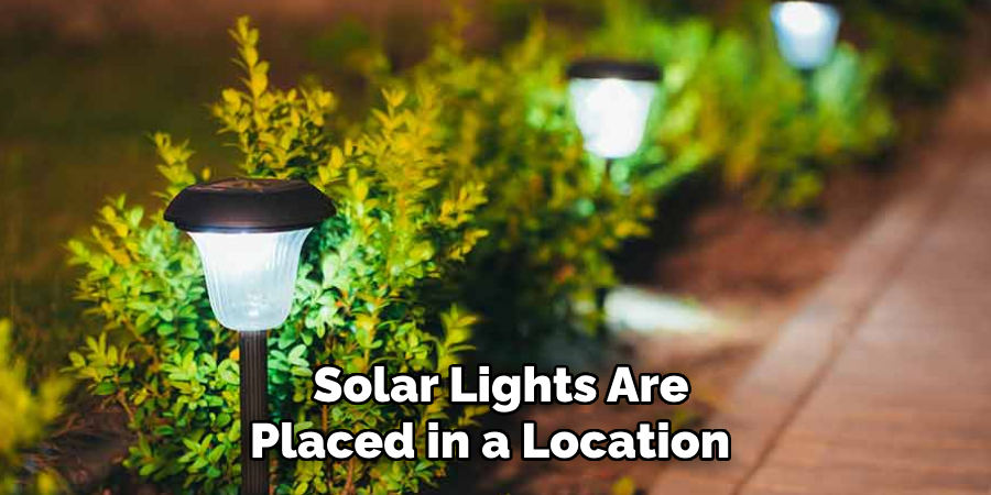  Solar Lights Are Placed in a Location 