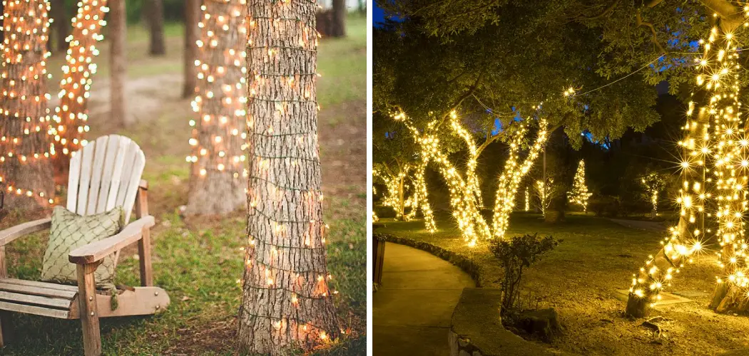 How to Wrap Lights Around a Tree Trunk