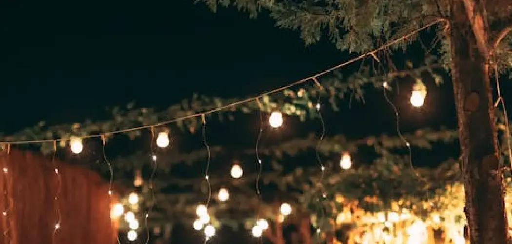 How to Light Up Backyard for Party