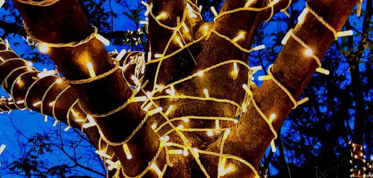 How to Make a Tree of Lights