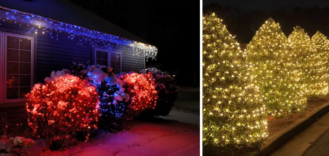 How to Put Net Lights on Shrubs