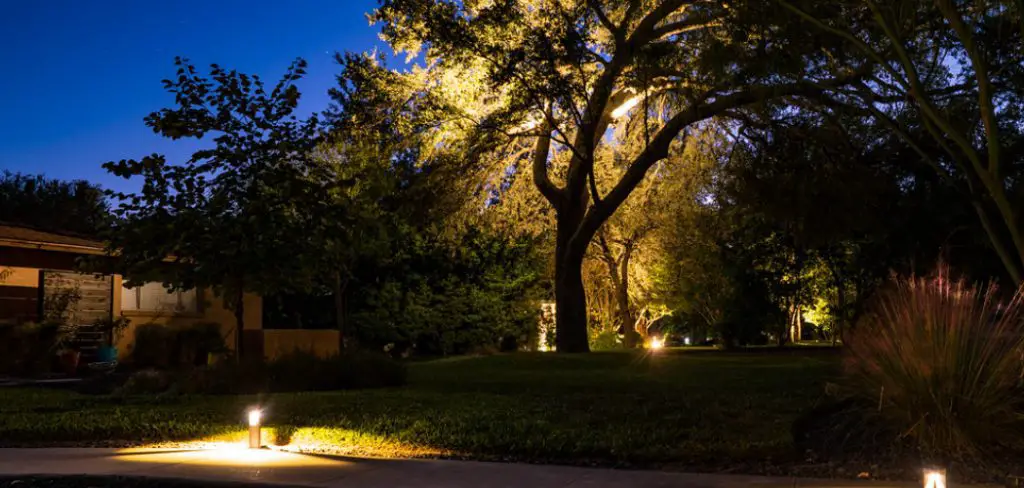 How to Uplight Trees