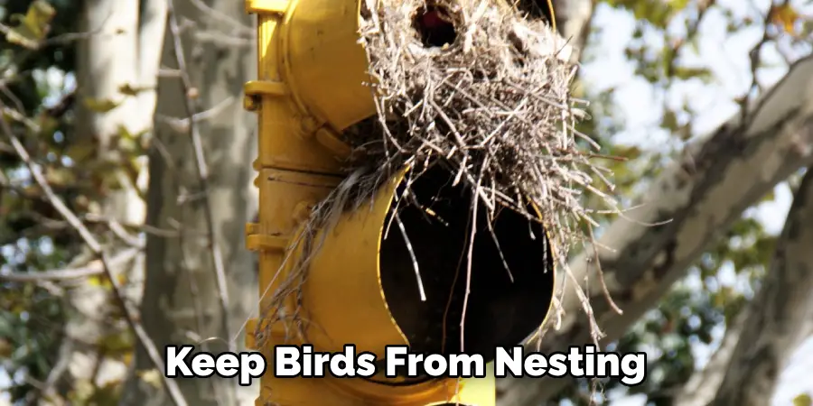 Keep Birds From Nesting