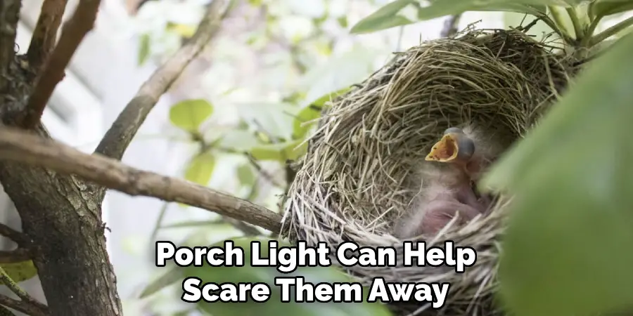 Porch Light Can Help Scare Them Away