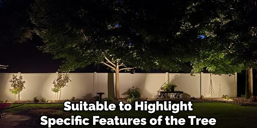 Suitable to Highlight
Specific Features of the Tree