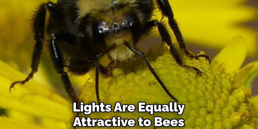 lights are equally attractive to bees