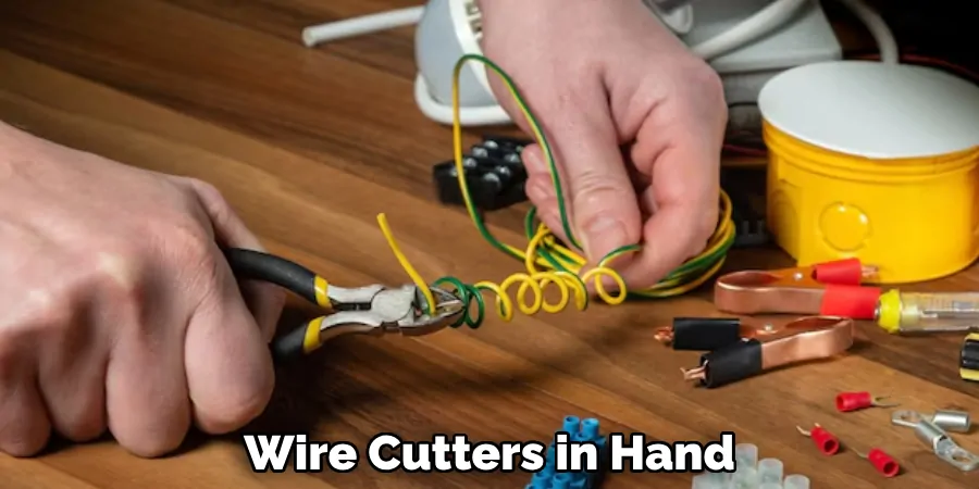 Wire Cutters in Hand