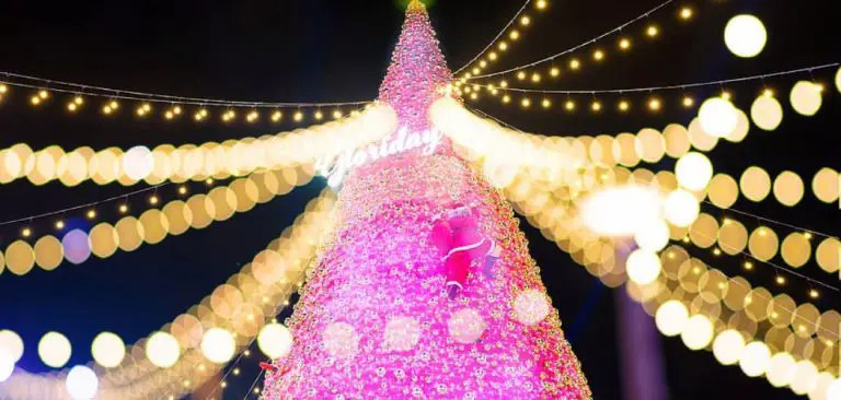 How to String Lights on Bushes