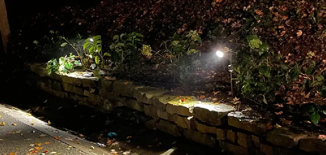 How to Do Accent Lighting